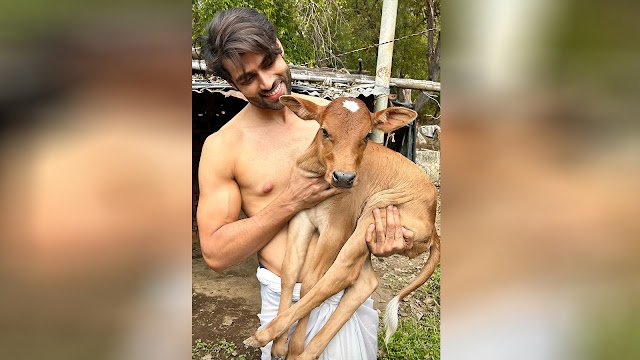 Srikant Dwivedi Opens Up About His Bond with Cows: “It’s Something I’ve Grown Up With”